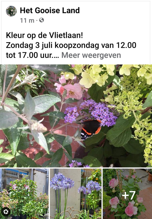 Kleur op de Vlietlaan in Bussum! Koopzondag 3 juli, van 12.00 tot 17.00 uur.