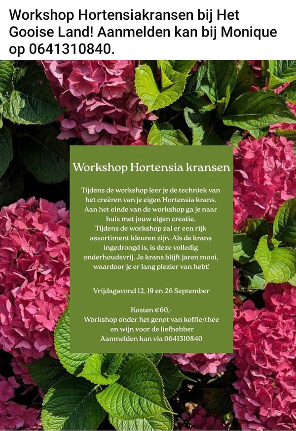 Data Workshops Hortensiakrans