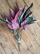 Kunst Calathea Triostar