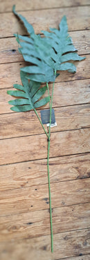 Zijden ijzervaren tak