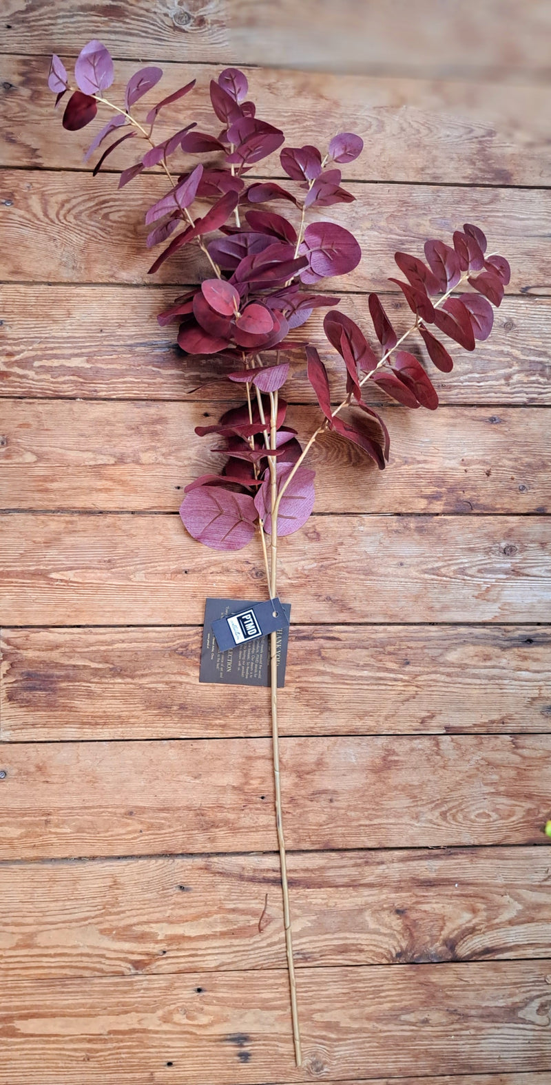 Zijde rode Eucalyptus tak
