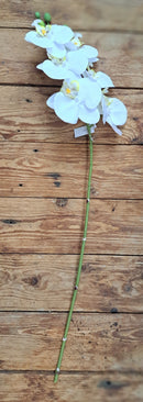 Zijden Orchidee tak Wit