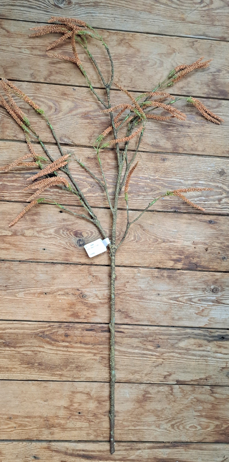 Kunst Hazelaartak