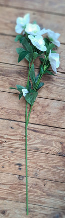 Zijden Helleborus in Wit of Hefstkleur