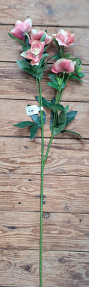 Zijden Helleborus in Wit of Hefstkleur