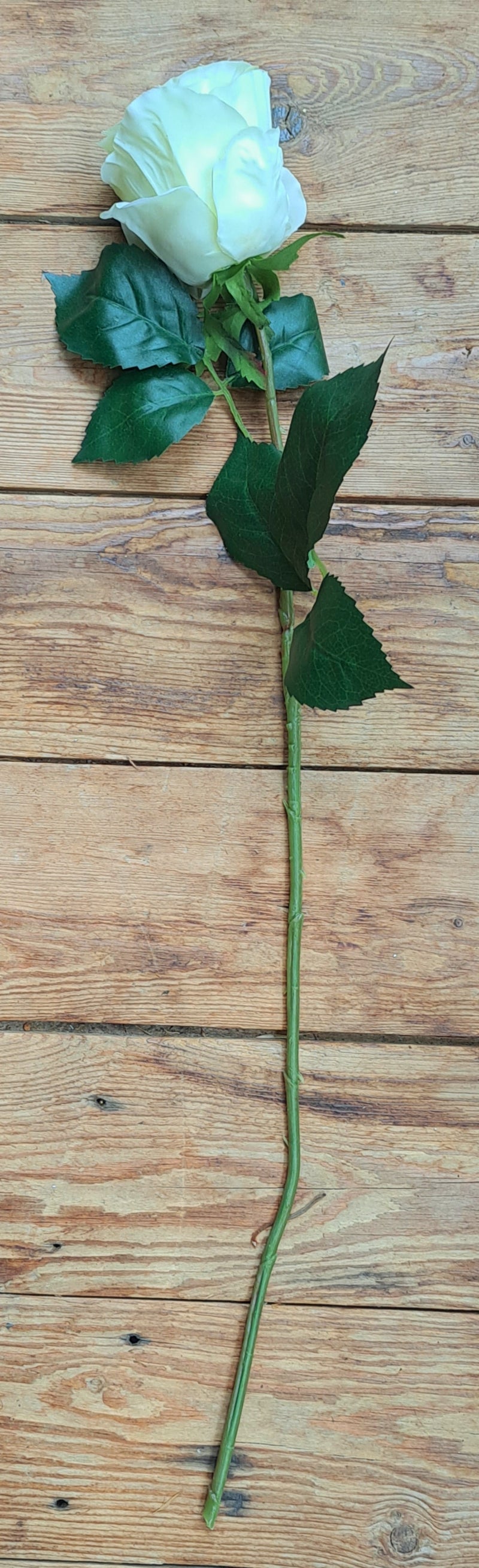 Witte zijden rood