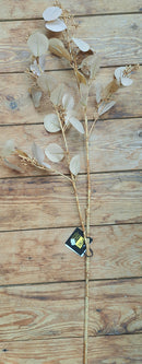 Zijden Eucalyptus Populus (bes Eucalyptus)