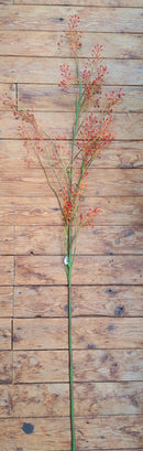 Rozenbottel tak kunst