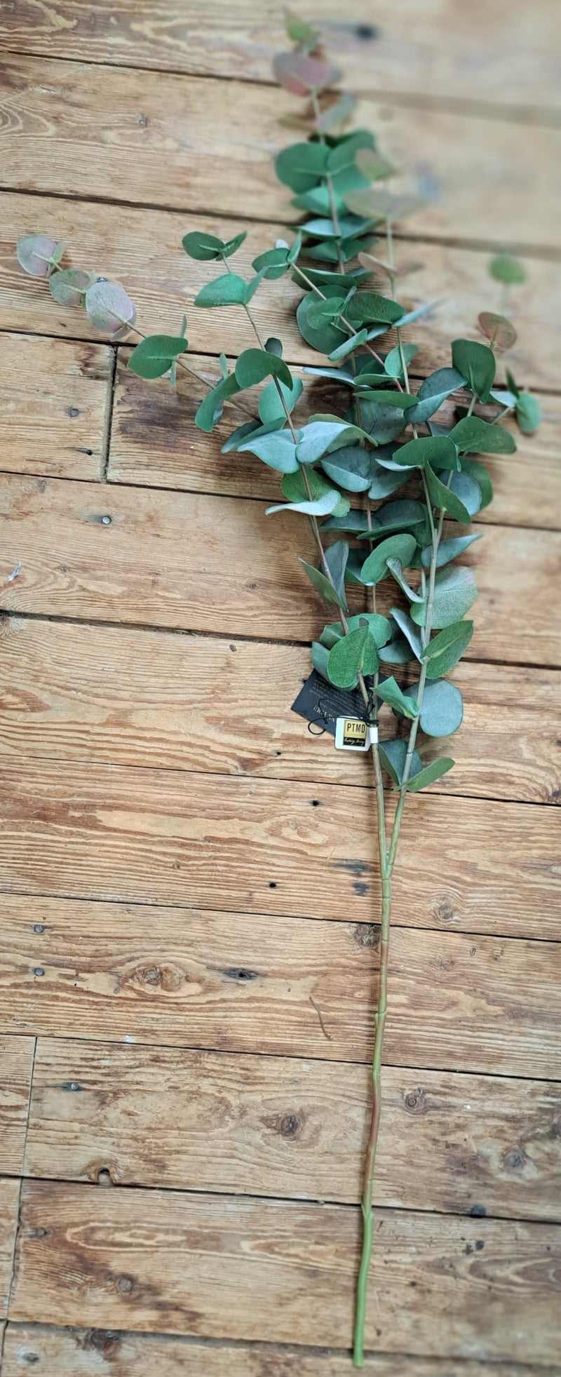 Zijden Eucalyptus tak greenish grey / rossig