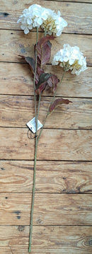 Zijden Herfst Hortensiatak