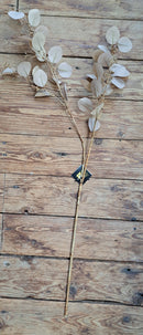 Zijden bes-eucalyptus tak