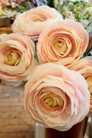 Zijden roze Ranonkel