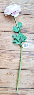 Zijden roze Ranonkel