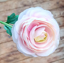 Zijden roze Ranonkel