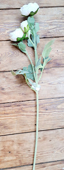 Zacht poederroze zijden Ranonkel