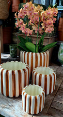 Streepjes bloempotten serie