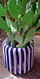 Streepjes bloempotten serie