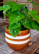 Twin Stripe bloempotten serie