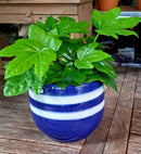 Twin Stripe bloempotten serie