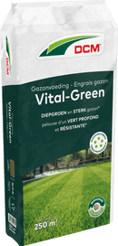 DCM Gazonvoeding Vital Green