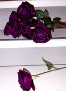 Auberginerode zijden Roos