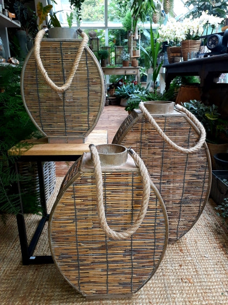 Oval Lightness
