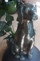 Engelse Jachthond beeld M gr/br