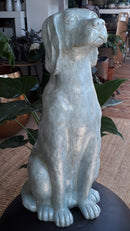 Engelse Jachthond beeld M ijsblauw