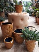 Bloempot Lesley Mosterd