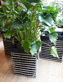 Vierkante mand met stof