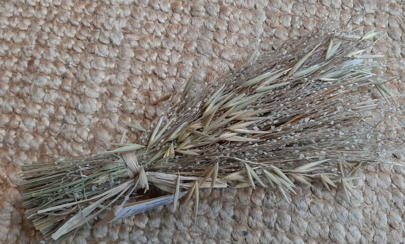 Gedroogd Avena Mix Naturel