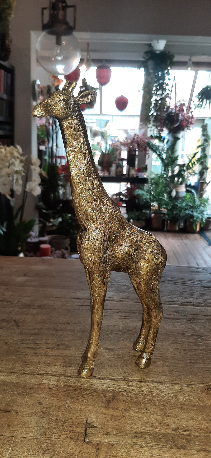 Goudkleurige Giraffe serie