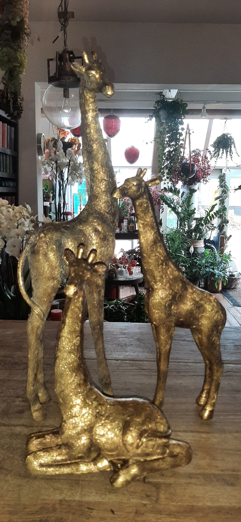 Goudkleurige Giraffe serie