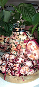 Lammie Spring Hangers