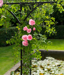 Rozenboog dubbel recht