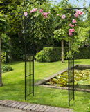 Rozenboog dubbel recht