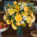 Charles Darwin 6 ltr pot (C6)